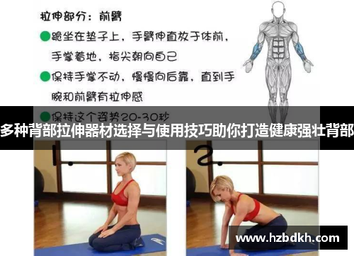 多种背部拉伸器材选择与使用技巧助你打造健康强壮背部