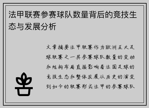 法甲联赛参赛球队数量背后的竞技生态与发展分析