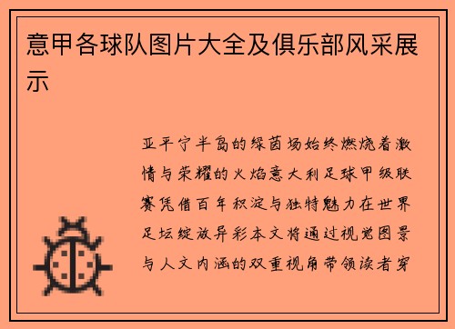 意甲各球队图片大全及俱乐部风采展示