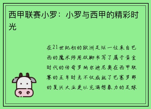 西甲联赛小罗：小罗与西甲的精彩时光